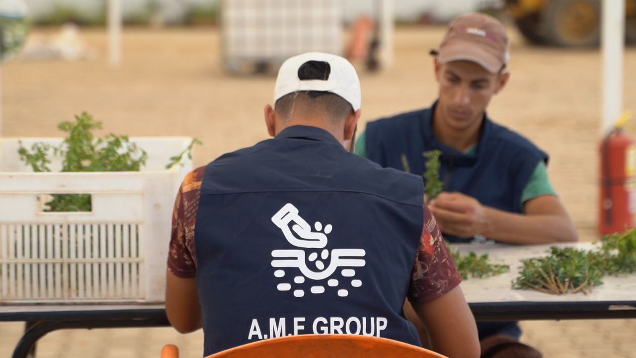 L'Équipe AMF sur le Terrain : engagement et expertise