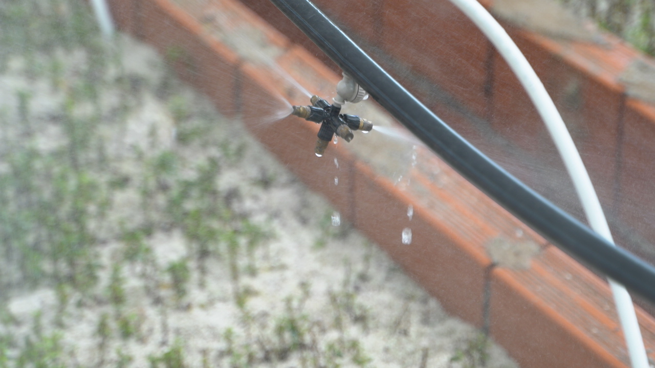 Irrigation goutte-à-goutte : économies et performance