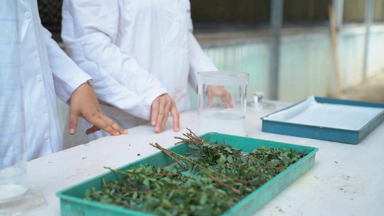 Équipe du laboratoire avec des plantes en culture